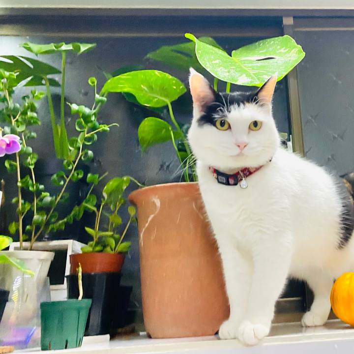 31177690 8e77 4f78 9f32 64a938e31825 1683941052281