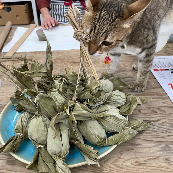 3117a1b7 3498 4770 a1a7 3037aaf11234 1683349828331