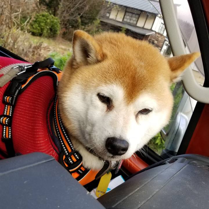 3117b79a 73f6 4f64 9ae9 b6be23f58e7a 1606973609404