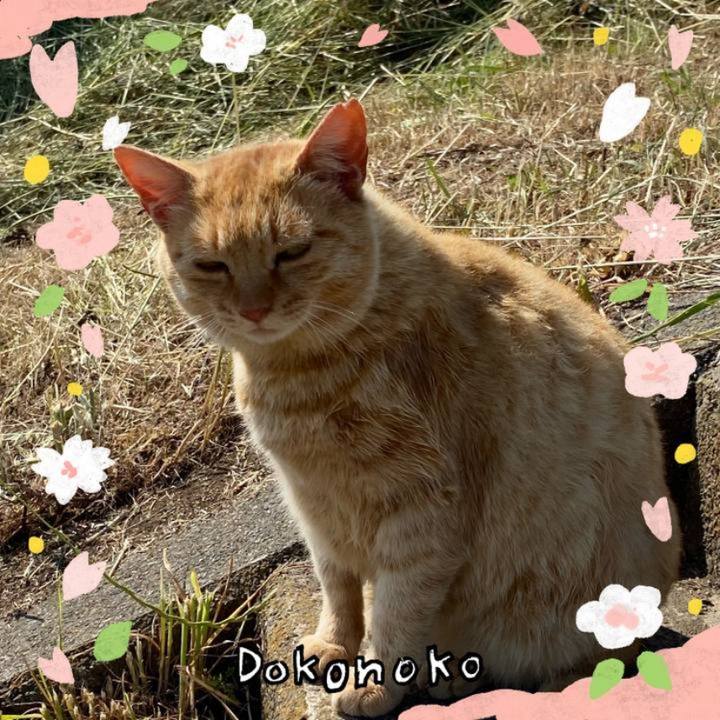 3117e122 c71c 4808 b47e c73478796629 1711090863105