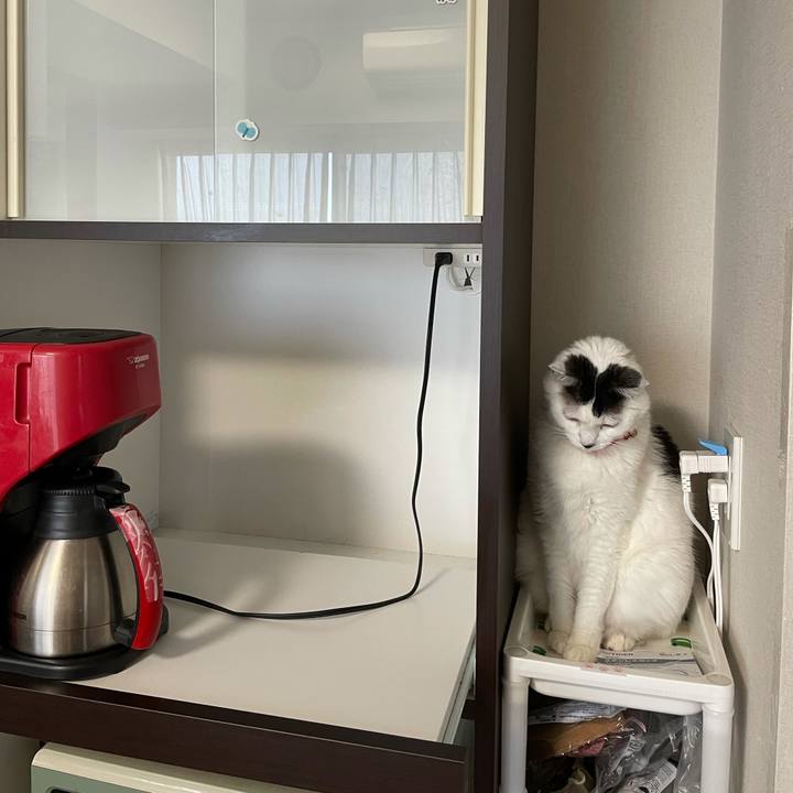 31180fb7 2f1a 42d8 84e1 ba2f046060f8 1621383375565