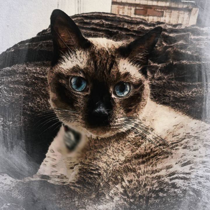 31182334 74c3 494e 8171 52bc162938d7 1509239815995