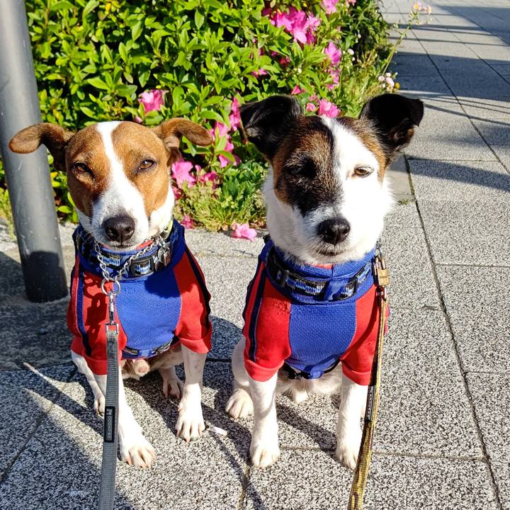 31182951 c9af 4064 9908 c8975a5dee90 1619129692992