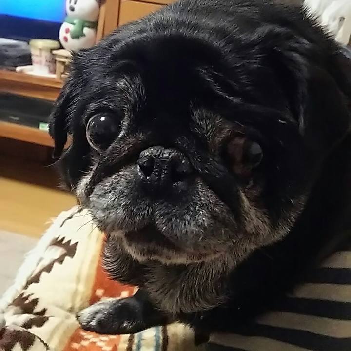 311846e5 e7f5 4684 8f7f 1a9bd82a5b1a 1520254151505