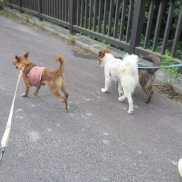 31186e83 4f71 47ba bd4f 6947a76b2a0d 1590127407771