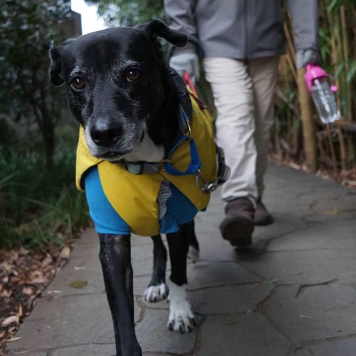 31189499 ce86 481d b1c5 77b531cfd5da 1766794597152