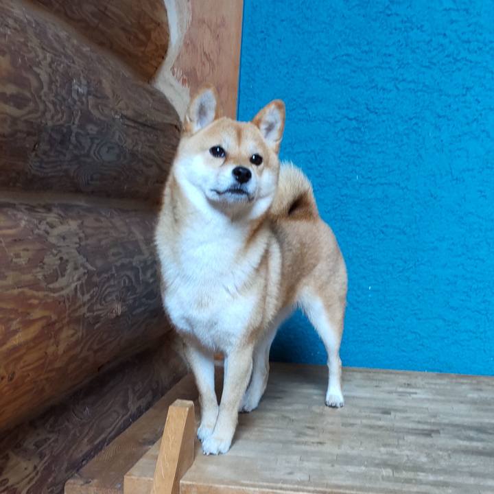 3118a8c5 8b65 4e73 9b58 7da7f1d77d57 1655622972507