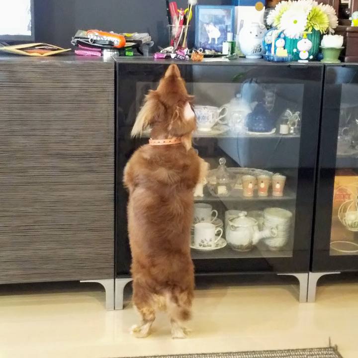 3118bd54 0c05 43d6 9585 8cefa3b85fe7 1602480629303