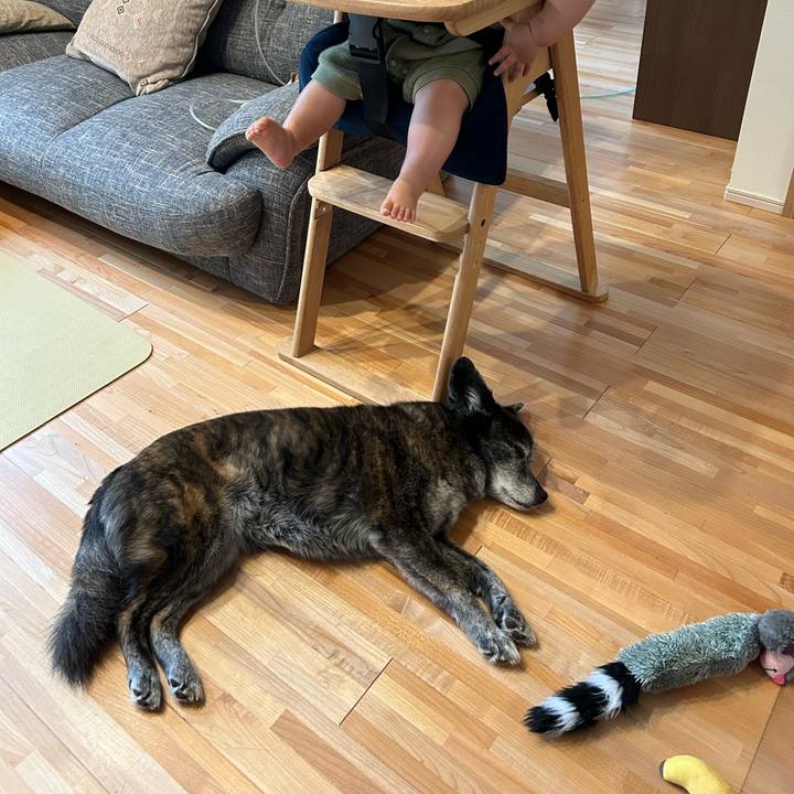 3118bdde 771b 4c8c 914b fa190e6b55a3 1719708335325