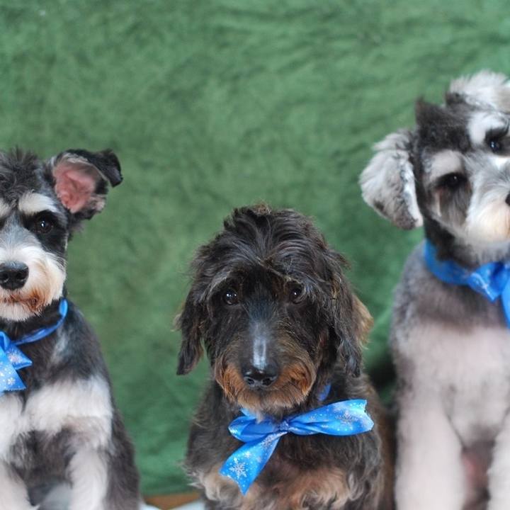 3118caf0 59b2 47fc a895 fa5a75b2f07b 1574779055424