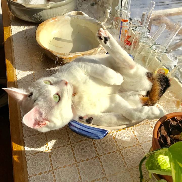 3118f1f3 098e 40ed 99a9 0a2ba9838d10 1549159086137