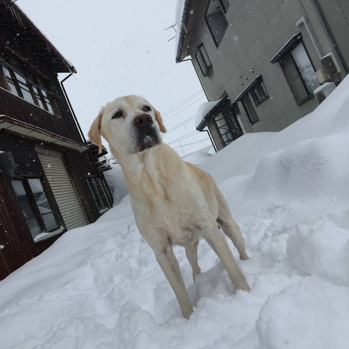 3118f260 d3af 44d4 bbec be514ba57e65 1609862082605