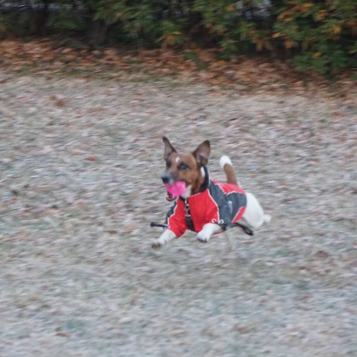 31193e63 10f8 408d af87 e907d73778eb 1513987461338