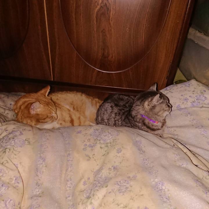 31195e91 5faf 4cdb a91a 306089c00241 1580239676219