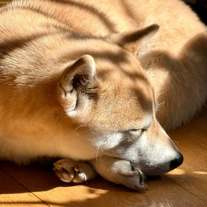 311961e4 1ac4 4baf 8887 d8e13f3d31ad 1773535969499