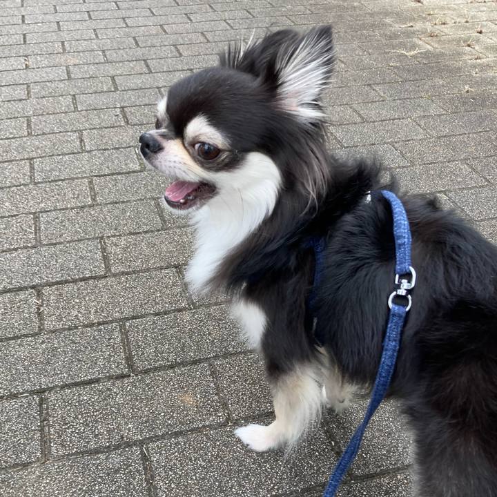 31196c68 d32c 435f 81cd 074764000fee 1664462140823