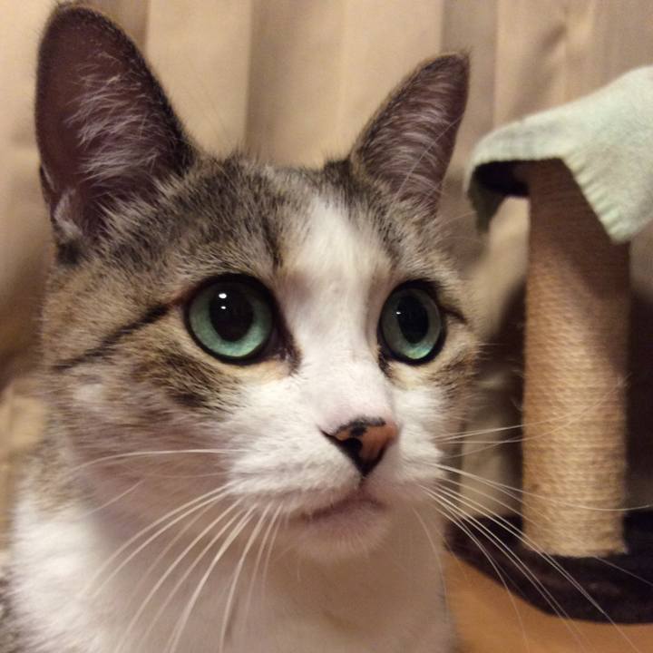 311975d1 7299 4ec0 8053 b5d8dcafc21a 1771541644300