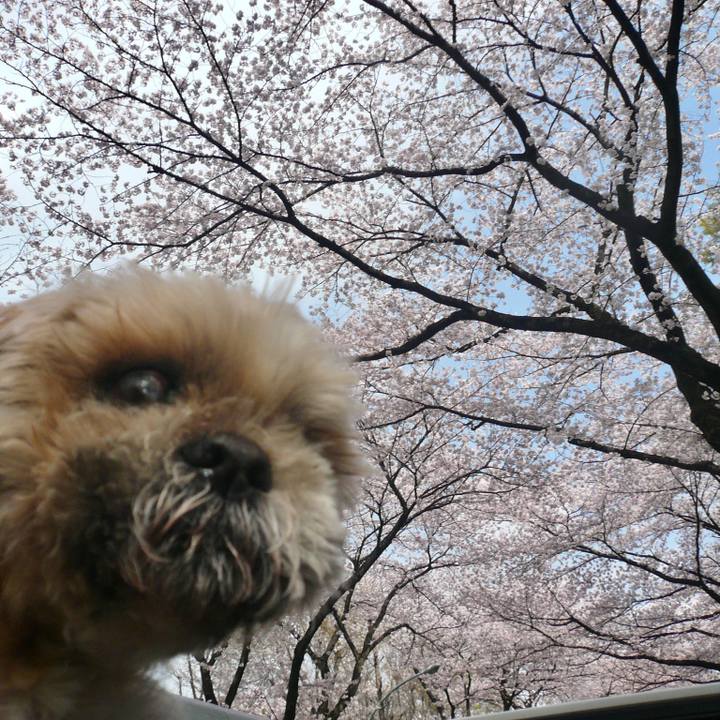 3119cd2a 7817 44e2 8004 80a1b7f09e24 1616559687098