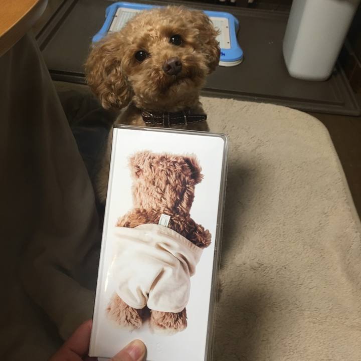 311a3501 122d 4118 a743 7a706cd972e2 1510137870722