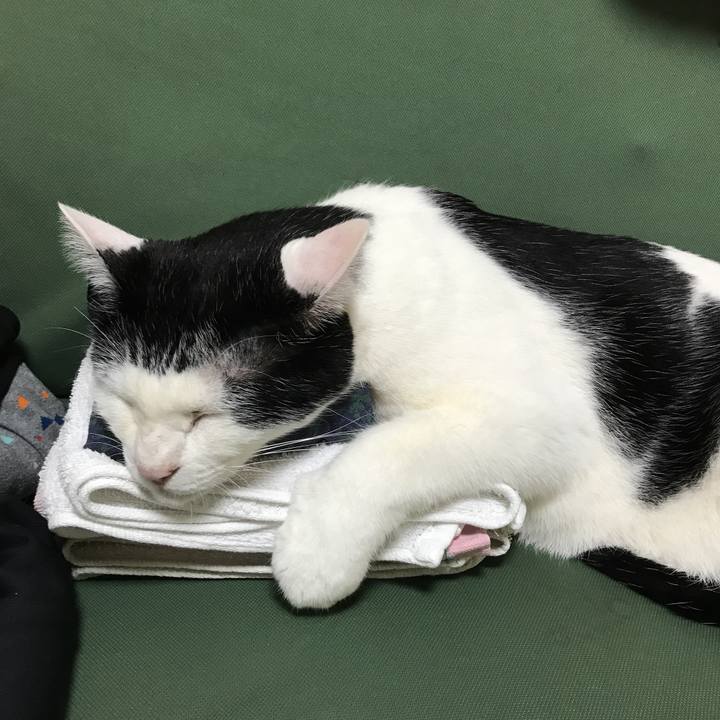 311a444f 46aa 4df0 8639 6dd072a80236 1579758979014