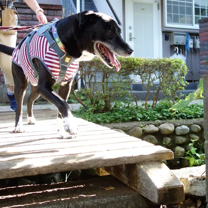 311abf9d b281 46d9 8648 2cf36ccd77e7 1719881584522