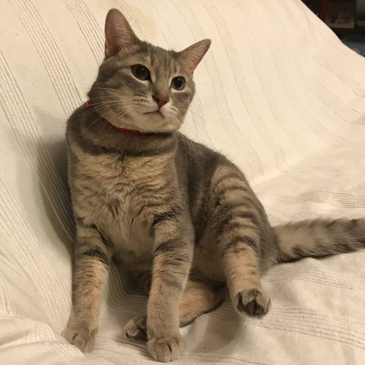 311af754 a300 4058 b189 ee8067baf68c 1569329156733