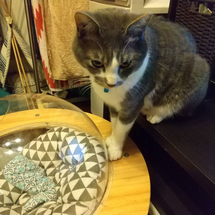 311b0cd9 44ce 42a7 ac62 3f0e0fe4e690 1610448212508