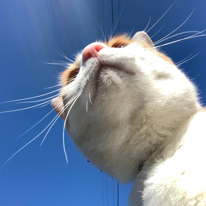 311b1c94 7ed6 43d1 bcff e12003fd6148 1574994426049