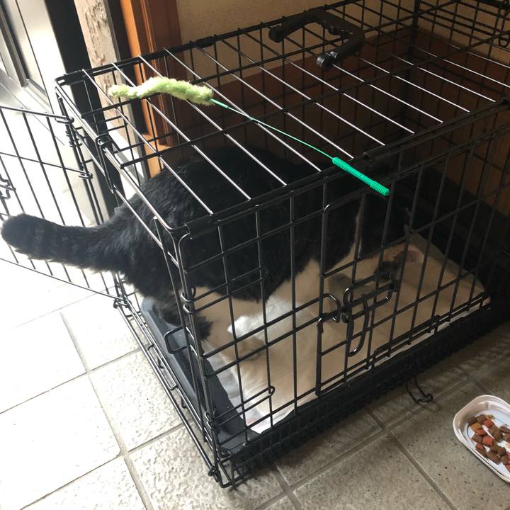 311b6223 89f9 4781 ab5c ee0161e9ad9b 1537183302603