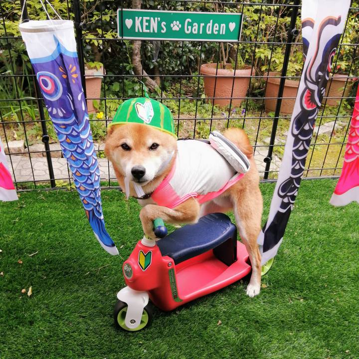 311b6689 e4ab 46a6 8da4 1e2fb669367b 1619334551181