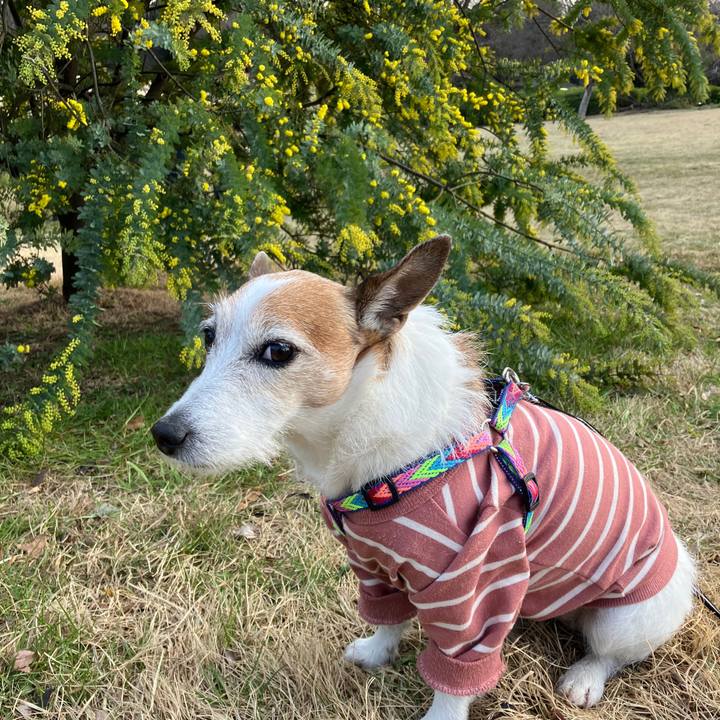 311b7d26 e1c0 4dd0 aae6 aad82a557063 1708989330697