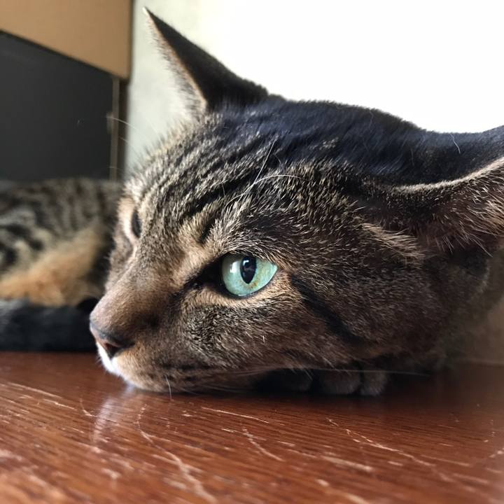 311b8225 4e88 4b19 88be 1f20e267f6ac 1536457567950