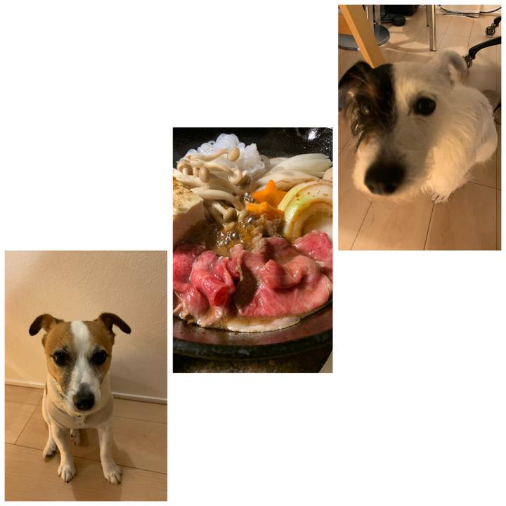 311b957c b4de 4339 b929 105484983703 1589625601747