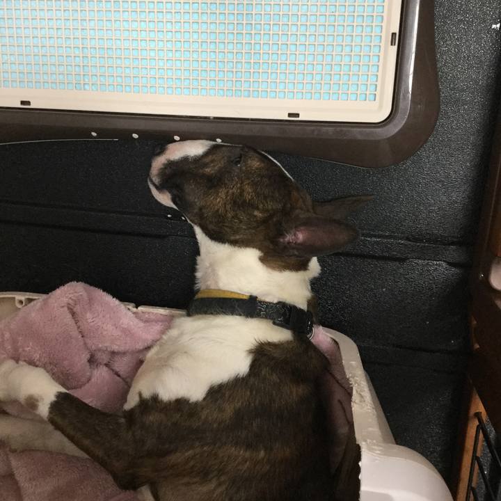 311bd2ed 6515 4456 936f 022f1e7104bb 1587266082636