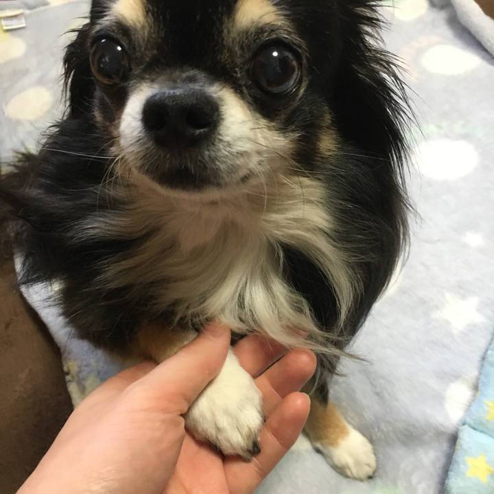 311bf47d b332 4de7 8d77 c30ec922ea0d 1508392275334