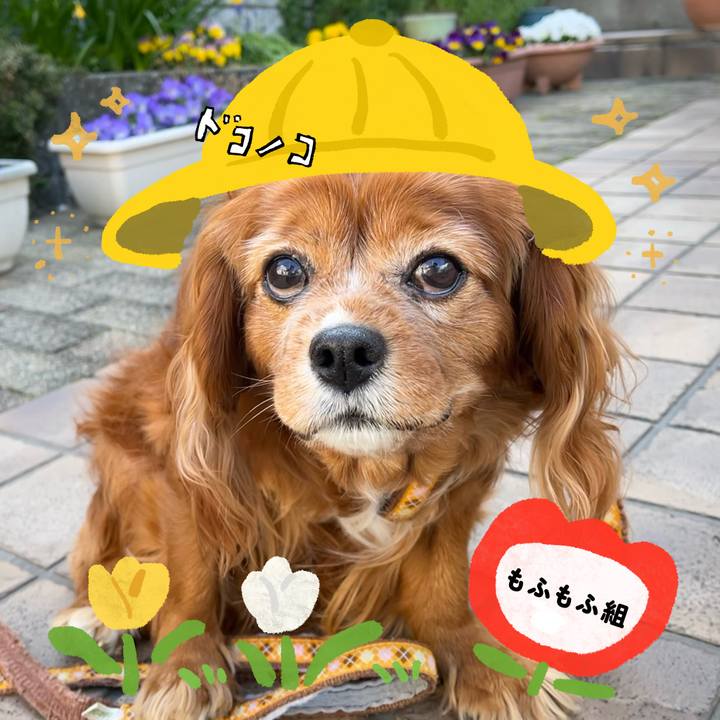 311c0620 6f44 4972 9f26 8864cb70ea87 1712366938282