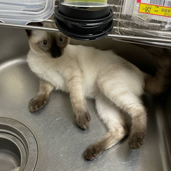 311c097f efae 4c88 9c91 f3a3a13eb5c0 1691624400797