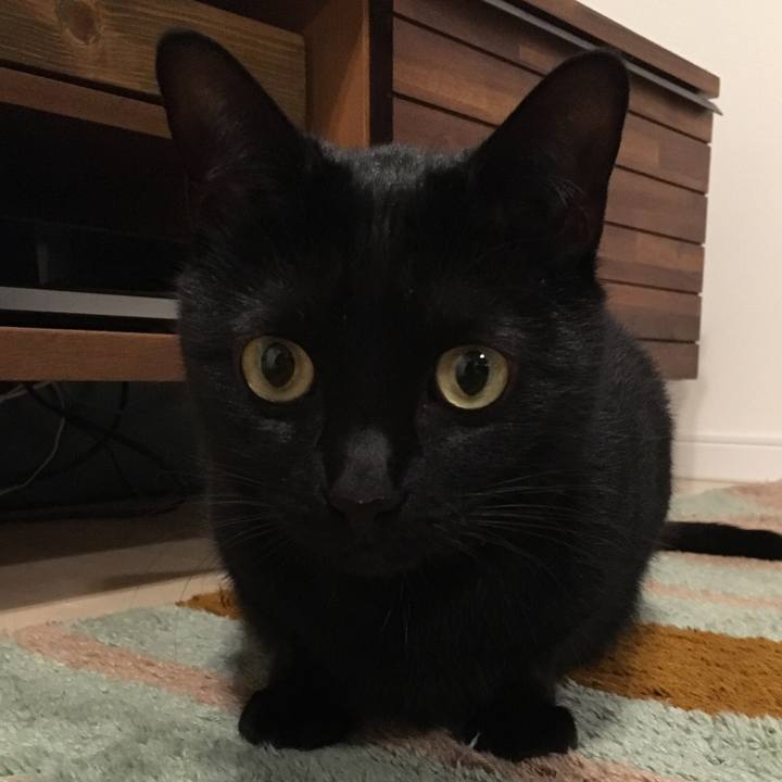 311c2338 2209 48fc af18 498fd6b3ded9 1543932649745