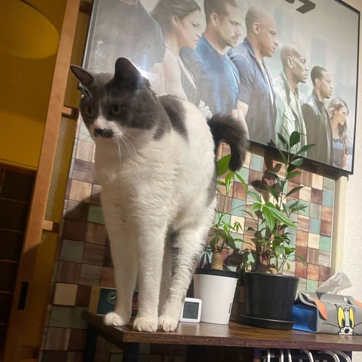 311c402c 2b7b 41de aca3 0f584c09b638 1734942267960