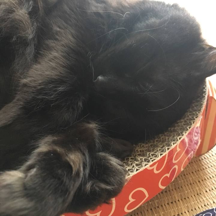 311c499e 3d92 4e16 b1fc 4d9a97a321af 1534549137314