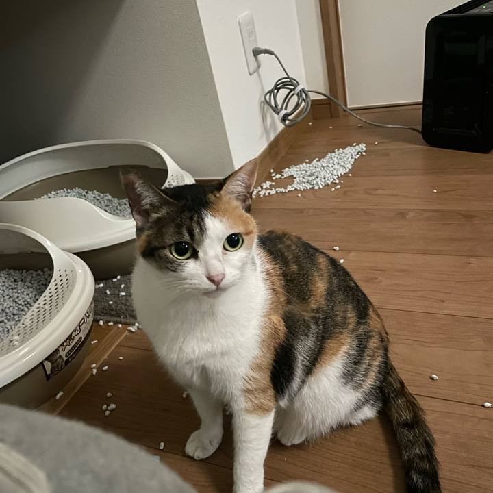 311c539f e240 4611 8655 0d512cfc526d 1665386140565