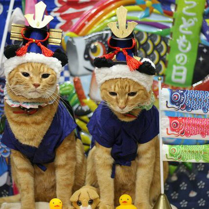 311ca59c 4bc6 44f1 8405 07d5d19175b0 1524667466395