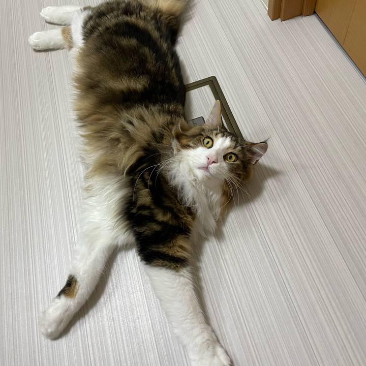 311cc1df ff29 4dfd a733 fc840f23814b 1643801846472