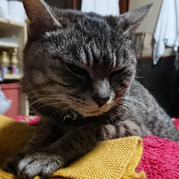 311cc826 3398 46f1 adae 34c9f3d83c4e 1551160000328