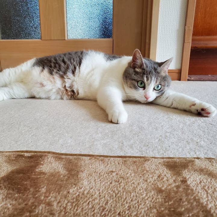 311cd498 2337 4676 88d9 e03020d721b5 1721664315848