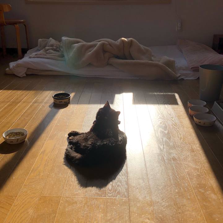 311d04fb 69ba 4072 921a 12086513176d 1554893061680