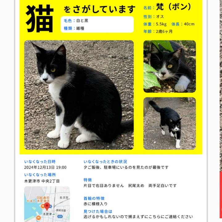 311d0b80 471b 4d99 9aeb 8a8182d80ed5 1735438240930