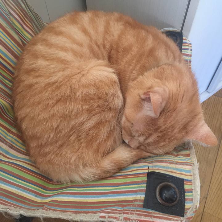 311d1c10 0589 4809 a9e2 af2c08f91735 1557557981344