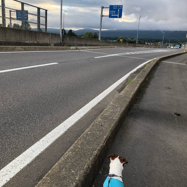 311d4cf3 57d7 4c9a 8999 038325e08628 1597228133771