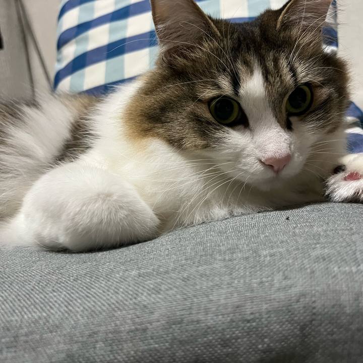 311d4d69 bc8d 4a45 bfe5 6054d9f7d699 1771327085370